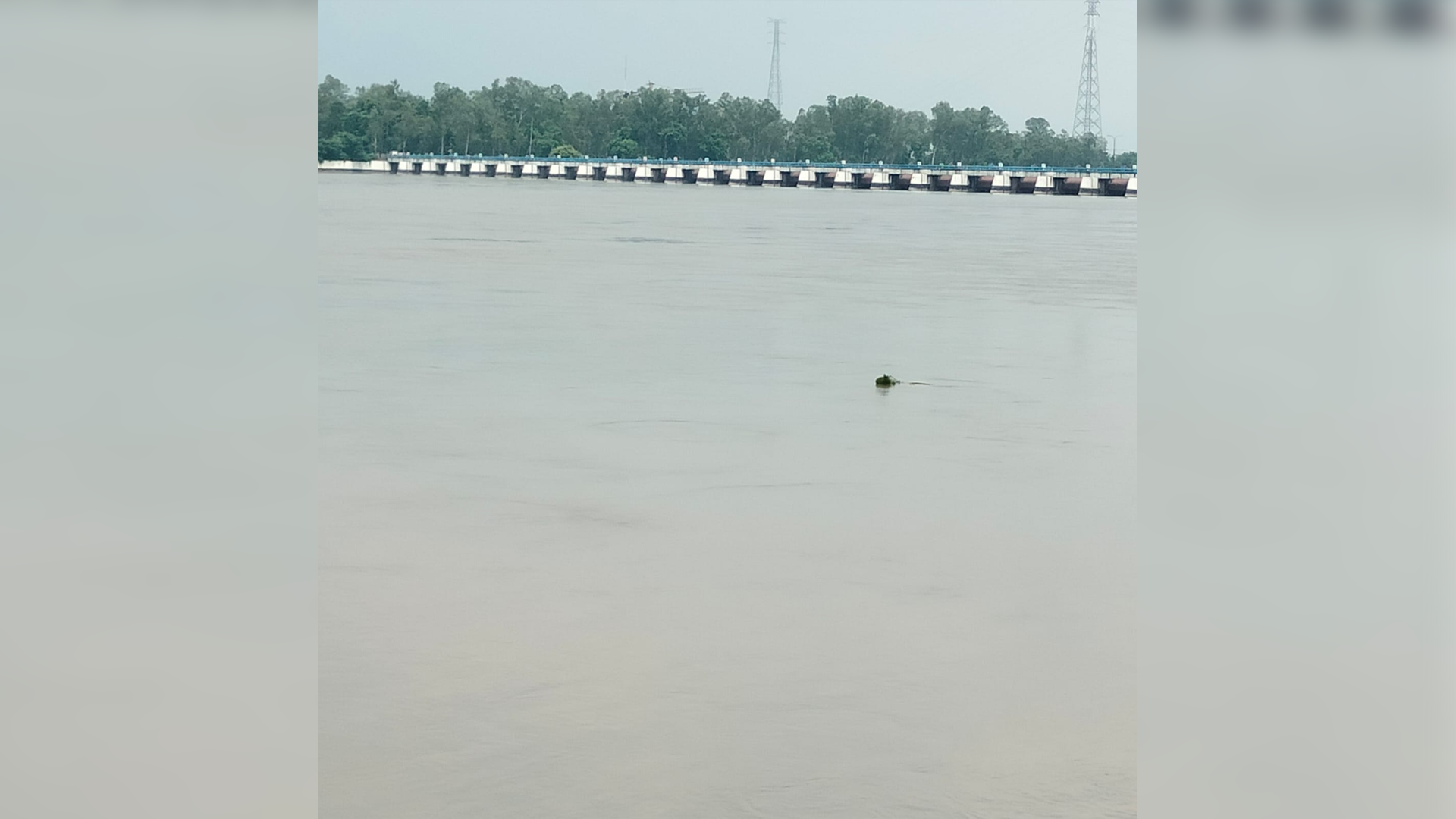 ডিমলায় তিস্তা নদীতে গোসল করতে নেমে যুবক নিখোঁজ